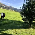Dans Un Avec Jardin Privatif