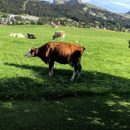Apartment Dans Un Avec Jardin Privatif Leysin