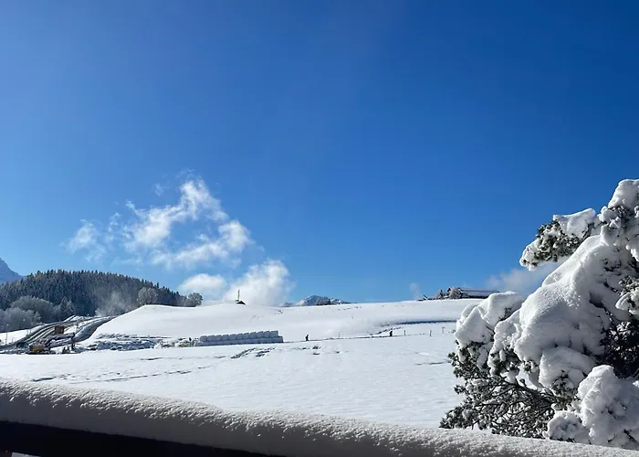 Dans Un Avec Jardin Privatif Apartament Leysin
