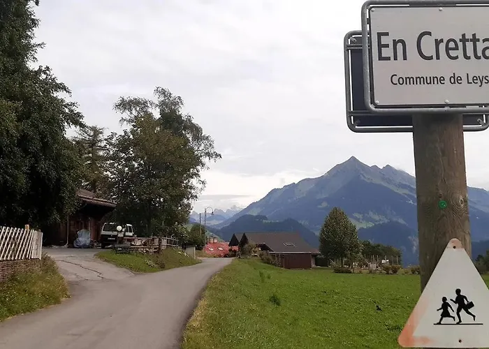 Dans Un Avec Jardin Privatif Leysin
