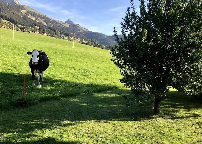 Dans Un Avec Jardin Privatif