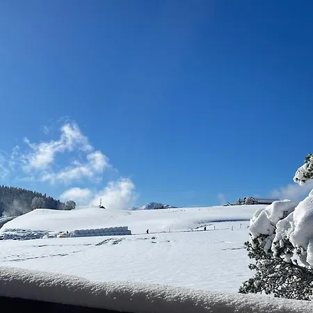 Dans Un Avec Jardin Privatif Apartamento Leysin